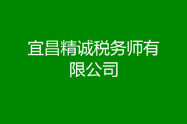 宜昌精诚税务师有限公司