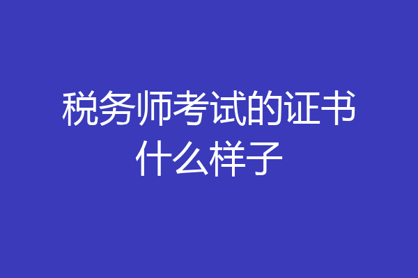 税务师考试的证书什么样子