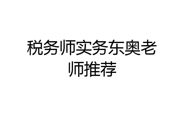 税务师实务东奥老师推荐