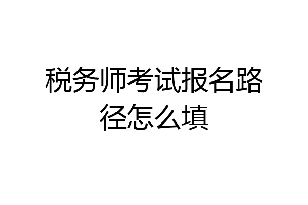 税务师考试报名路径怎么填