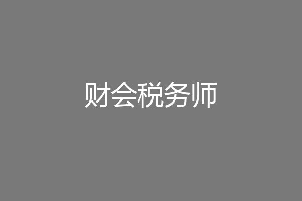 财会税务师