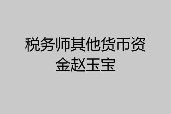 税务师其他货币资金赵玉宝