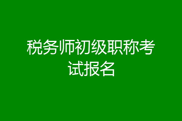 税务师初级职称考试报名