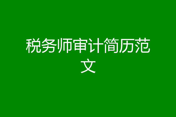 税务师审计简历范文