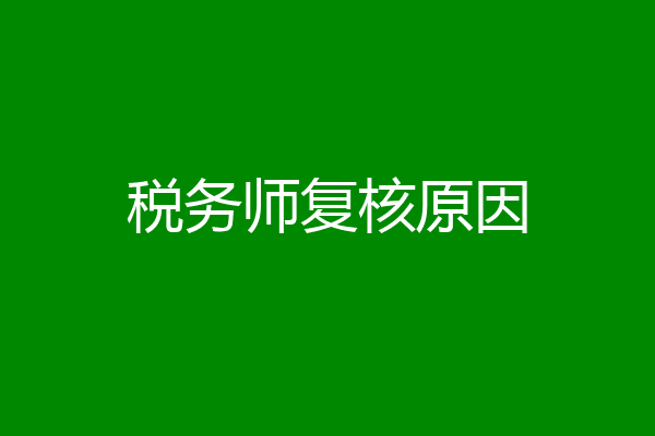 税务师复核原因