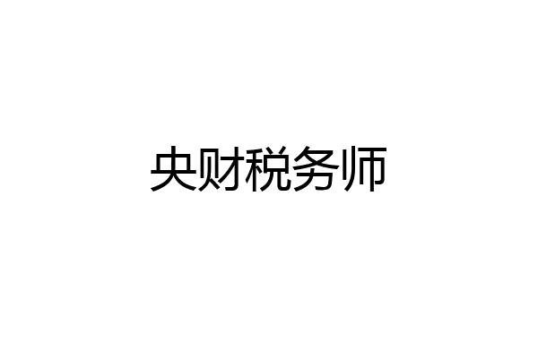 央财税务师