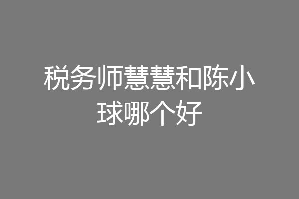 税务师慧慧和陈小球哪个好