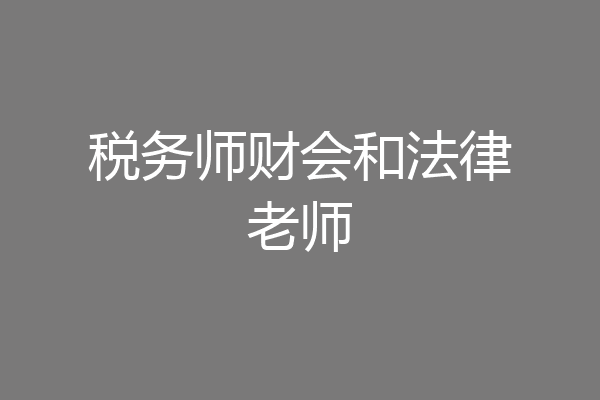 税务师财会和法律老师