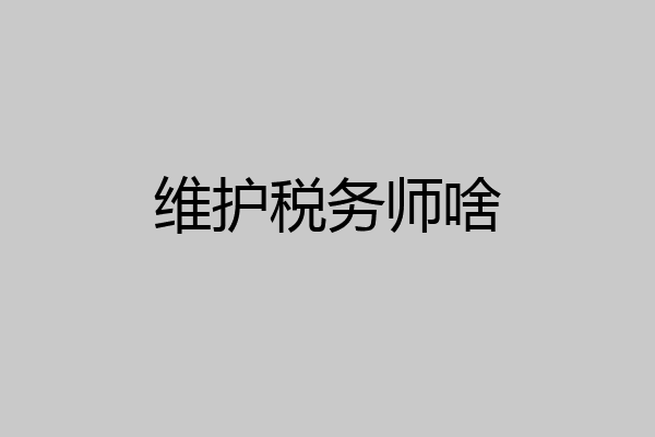 维护税务师啥