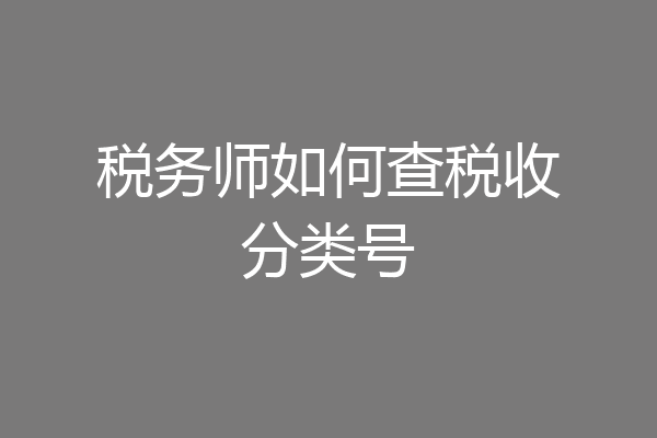 税务师如何查税收分类号