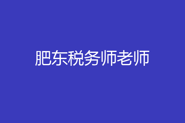 肥东税务师老师