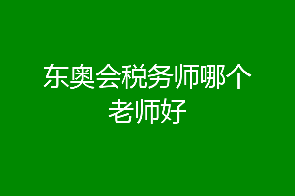 东奥会税务师哪个老师好