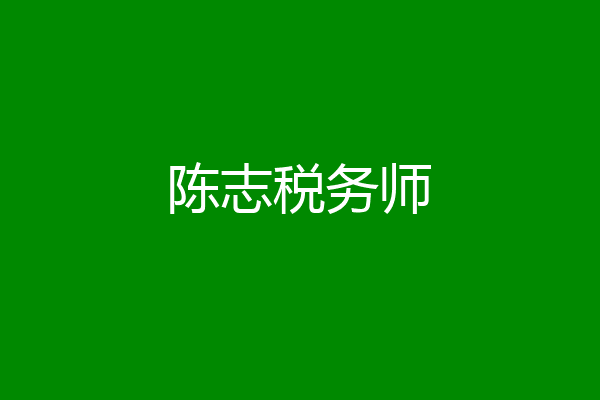 陈志税务师