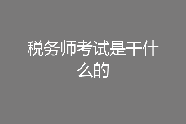 税务师考试是干什么的