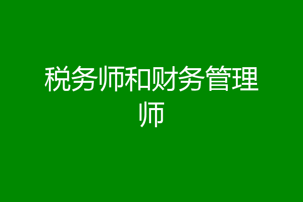 税务师和财务管理师