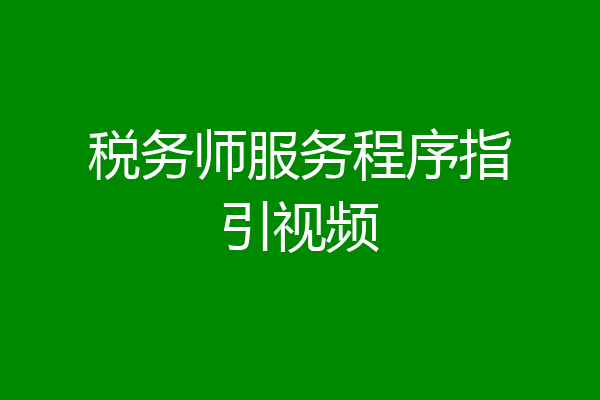 税务师服务程序指引视频