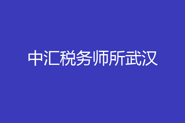 中汇税务师所武汉