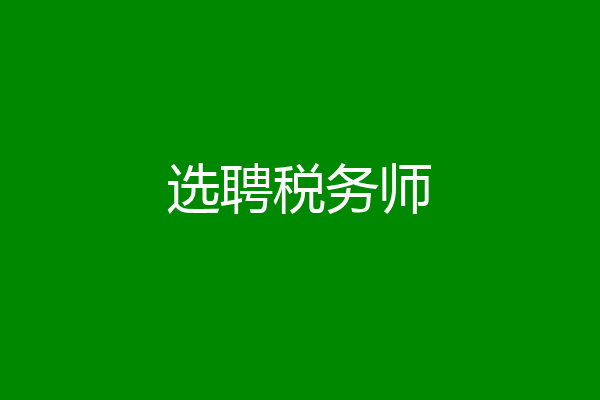 选聘税务师