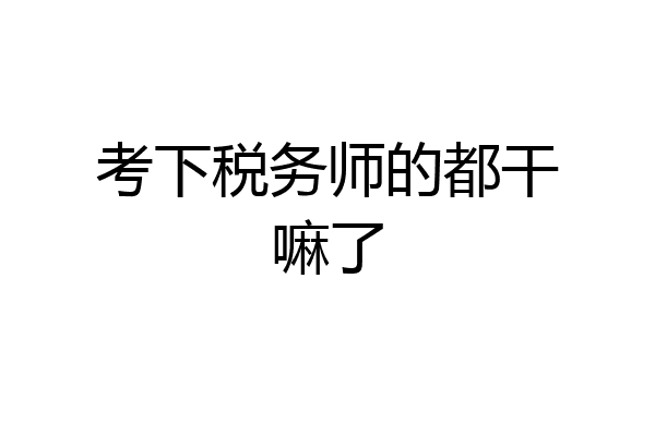 考下税务师的都干嘛了