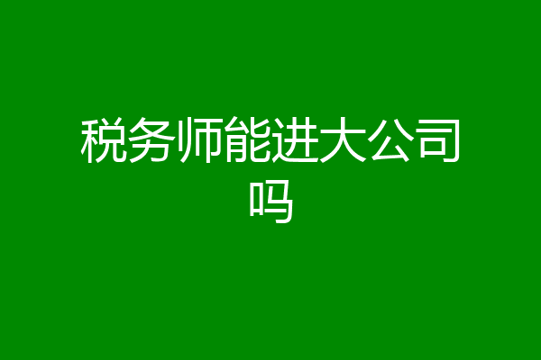 税务师能进大公司吗