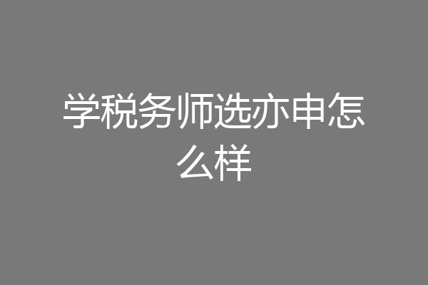 学税务师选亦申怎么样