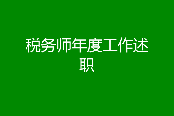 税务师年度工作述职