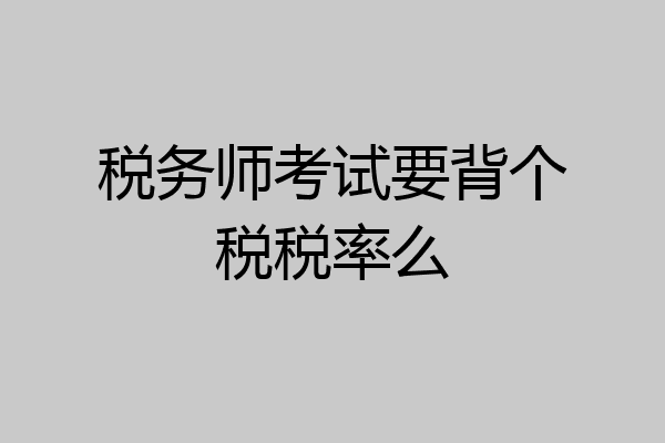 税务师考试要背个税税率么