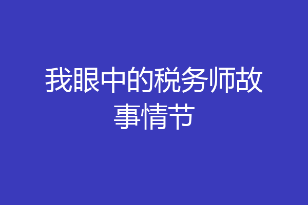 我眼中的税务师故事情节