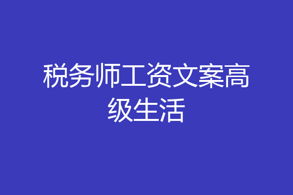 税务师工资文案高级生活