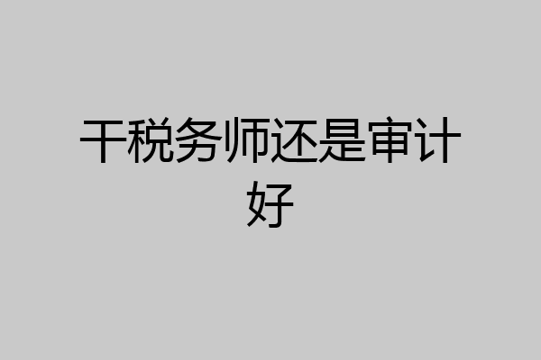 干税务师还是审计好