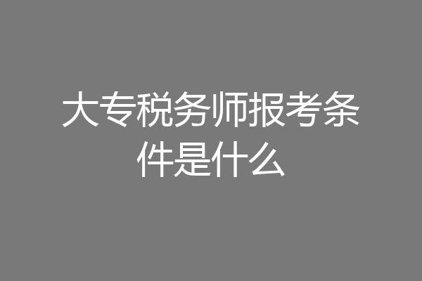 大专税务师报考条件是什么