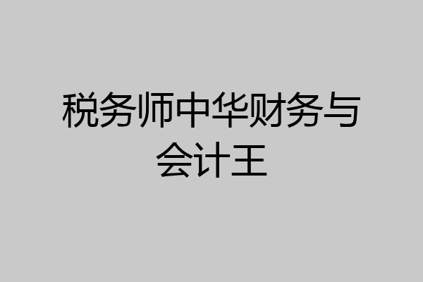 税务师中华财务与会计王