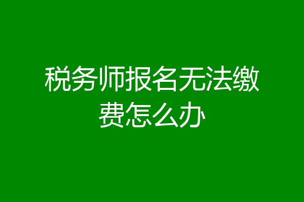 税务师报名无法缴费怎么办