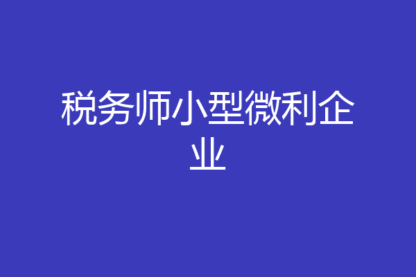 税务师小型微利企业