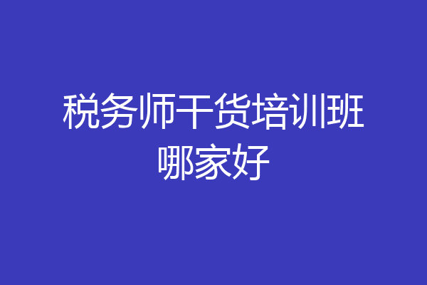 税务师干货培训班哪家好