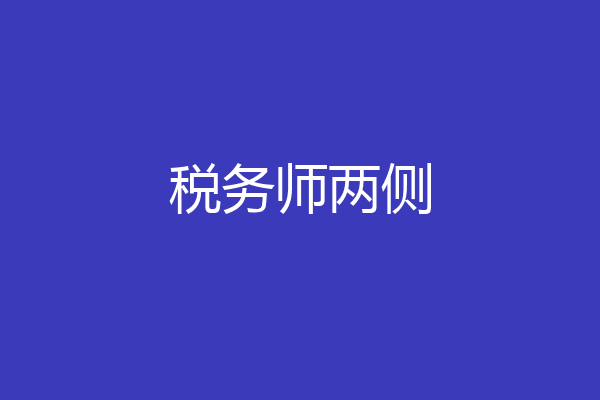 税务师两侧