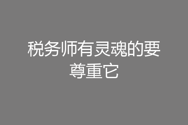 税务师有灵魂的要尊重它