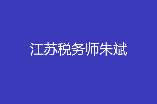 江苏税务师朱斌