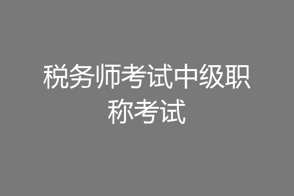 税务师考试中级职称考试