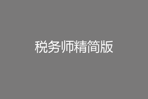 税务师精简版