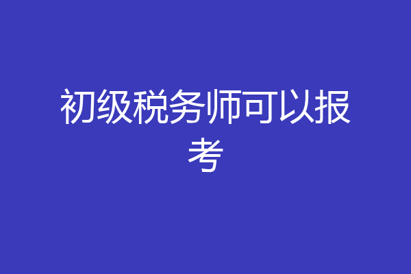 初级税务师可以报考