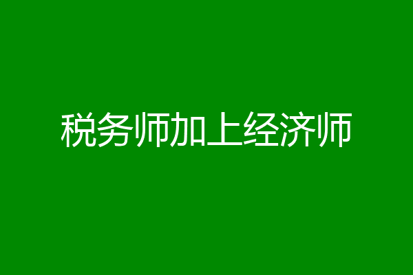 税务师加上经济师
