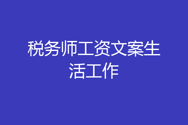 税务师工资文案生活工作