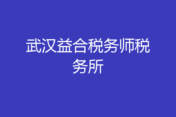 武汉益合税务师税务所