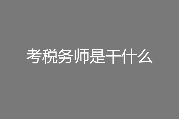 考税务师是干什么