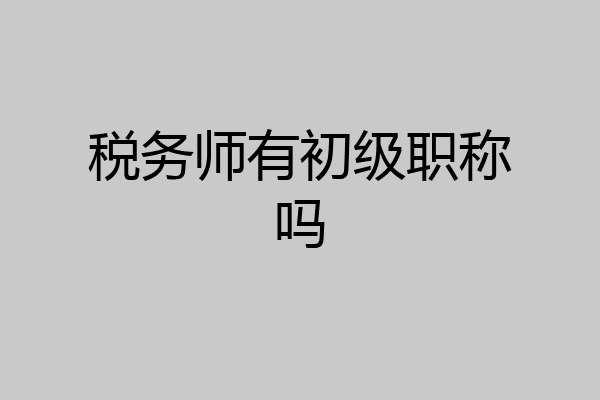 税务师有初级职称吗