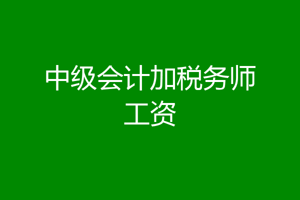 中级会计加税务师工资