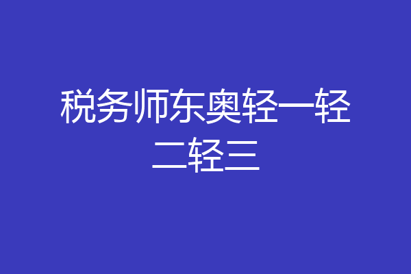 税务师东奥轻一轻二轻三