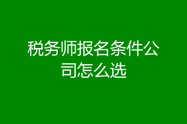 税务师报名条件公司怎么选