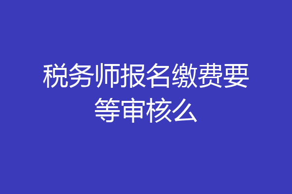 税务师报名缴费要等审核么